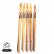 Tomaar kit 5 pen's